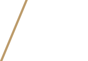 It_All_Starts_Here_White It All Starts Here White